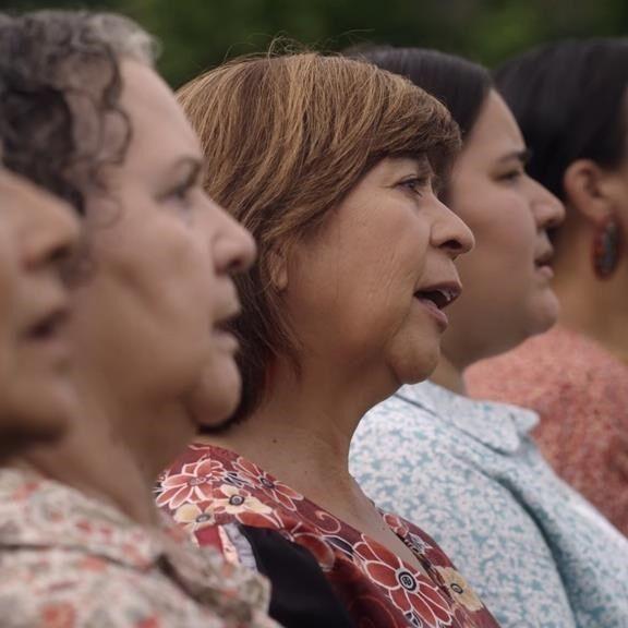 Films about Indigenous influences, declawing cats among Hot Docs world premieres